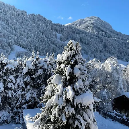 Bacherwiese Penthouse By Alpine Host Helpers Kitzbuhel